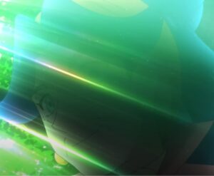 リコの祖母（りこのそぼ）　ポケットモンスター
